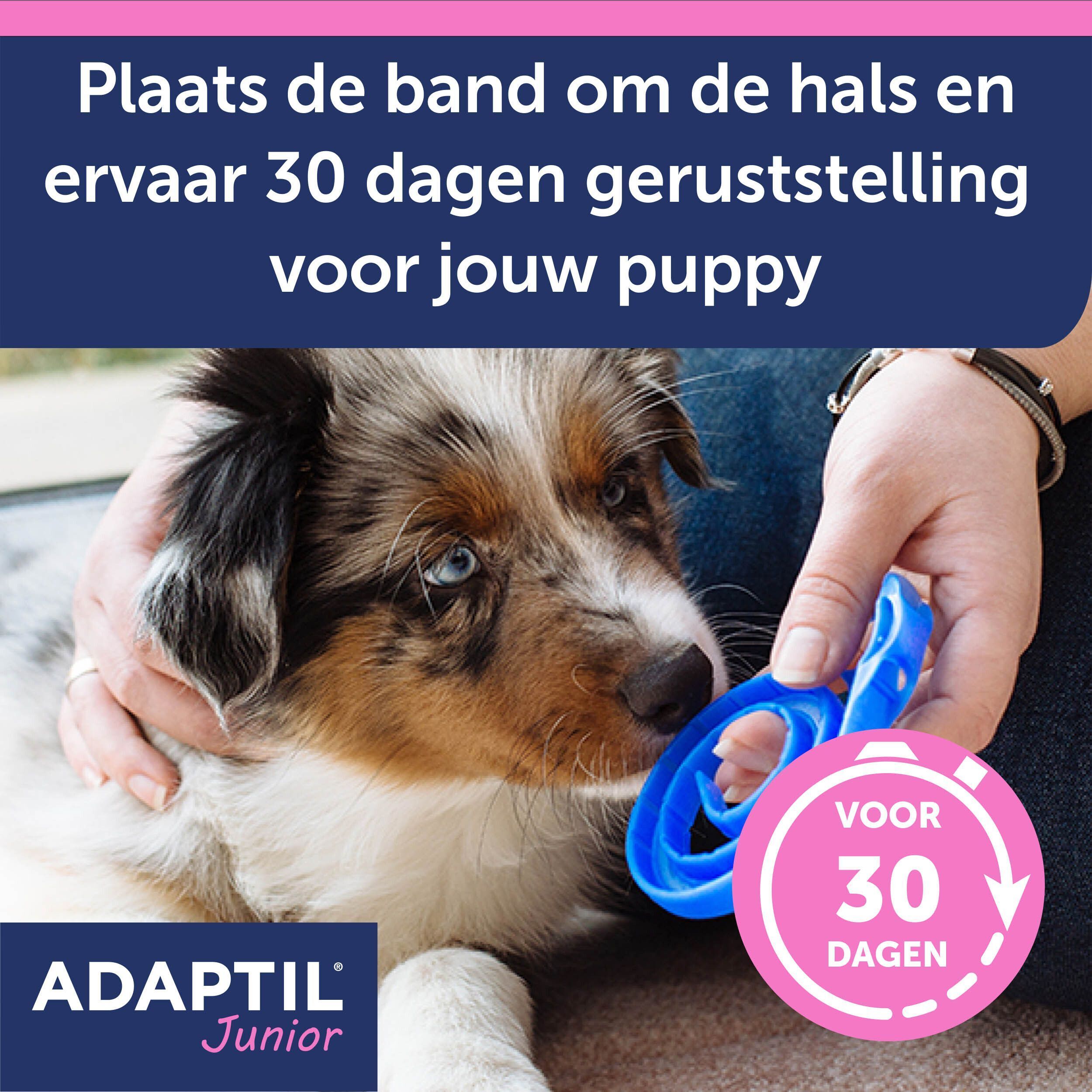 Adaptil Halsband Junior