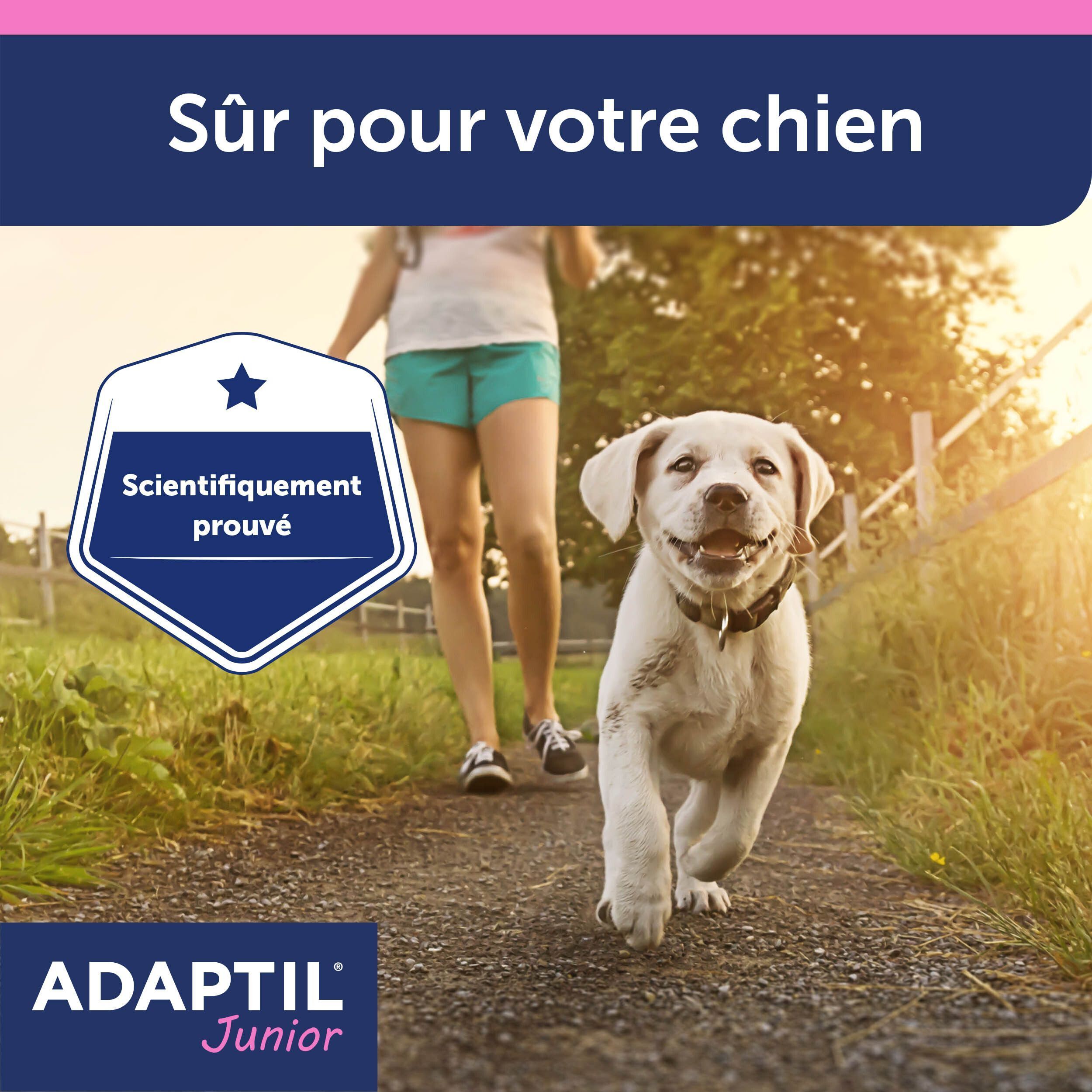 Adaptil Collier Chien Junior