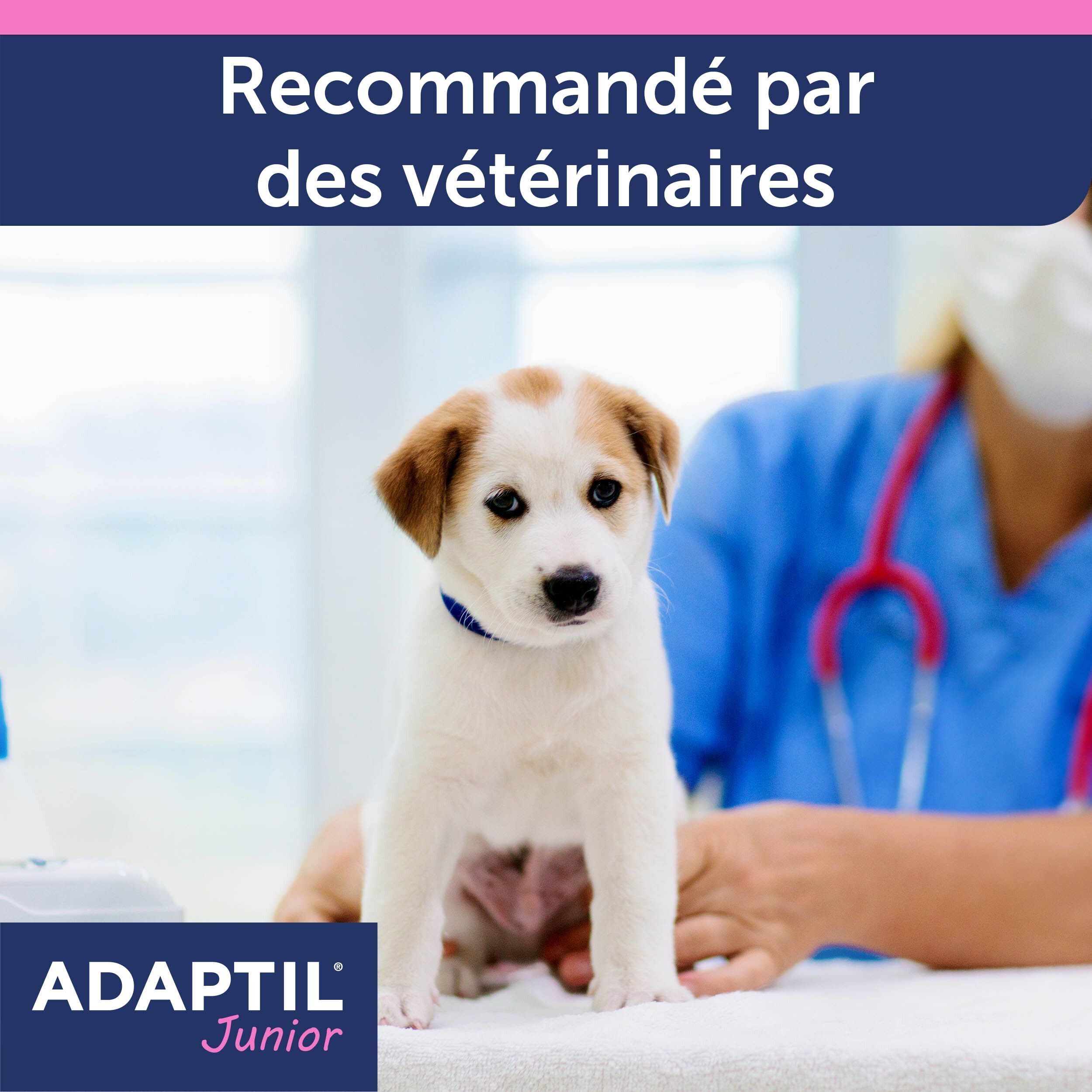 Adaptil Collier Chien Junior