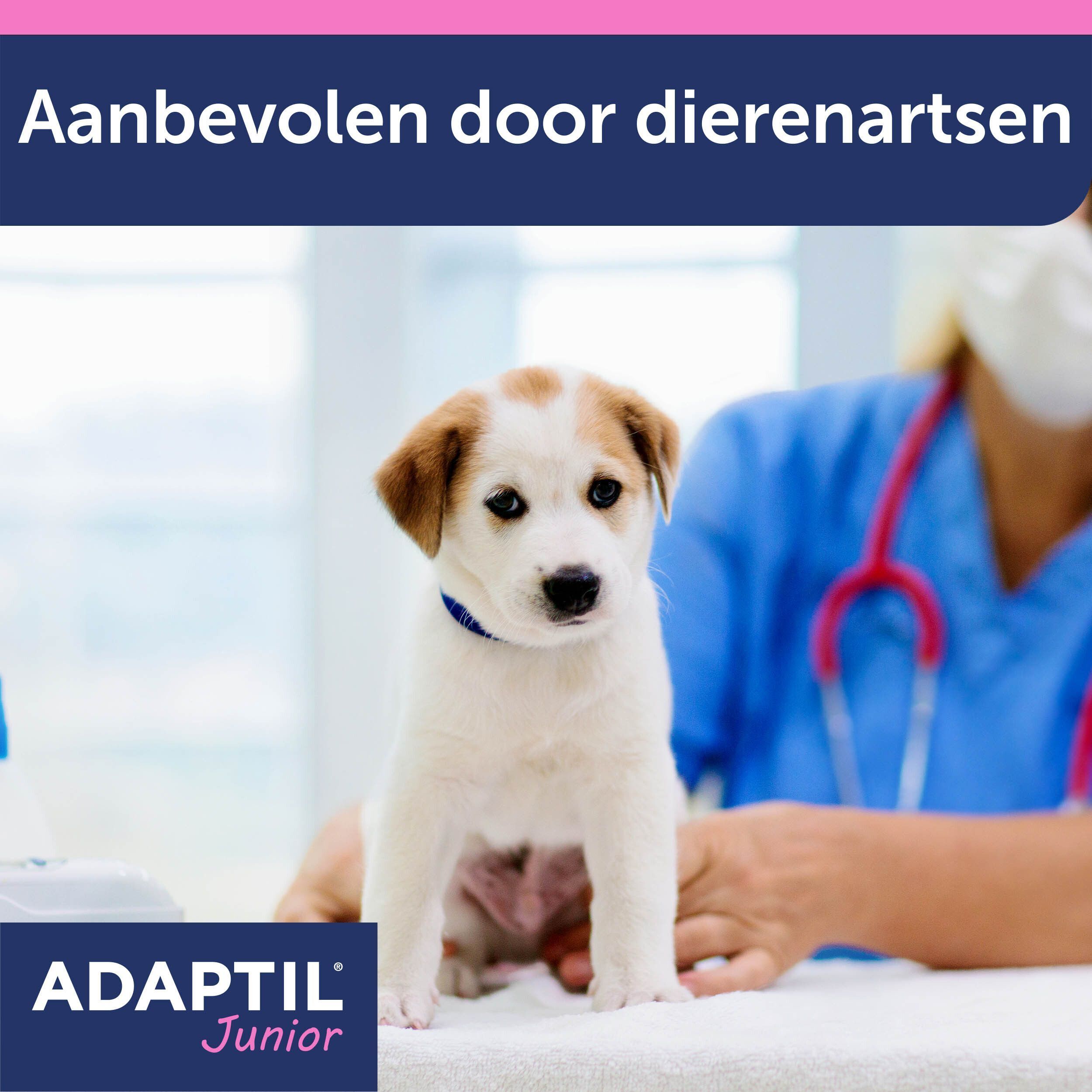 Adaptil Halsband Junior