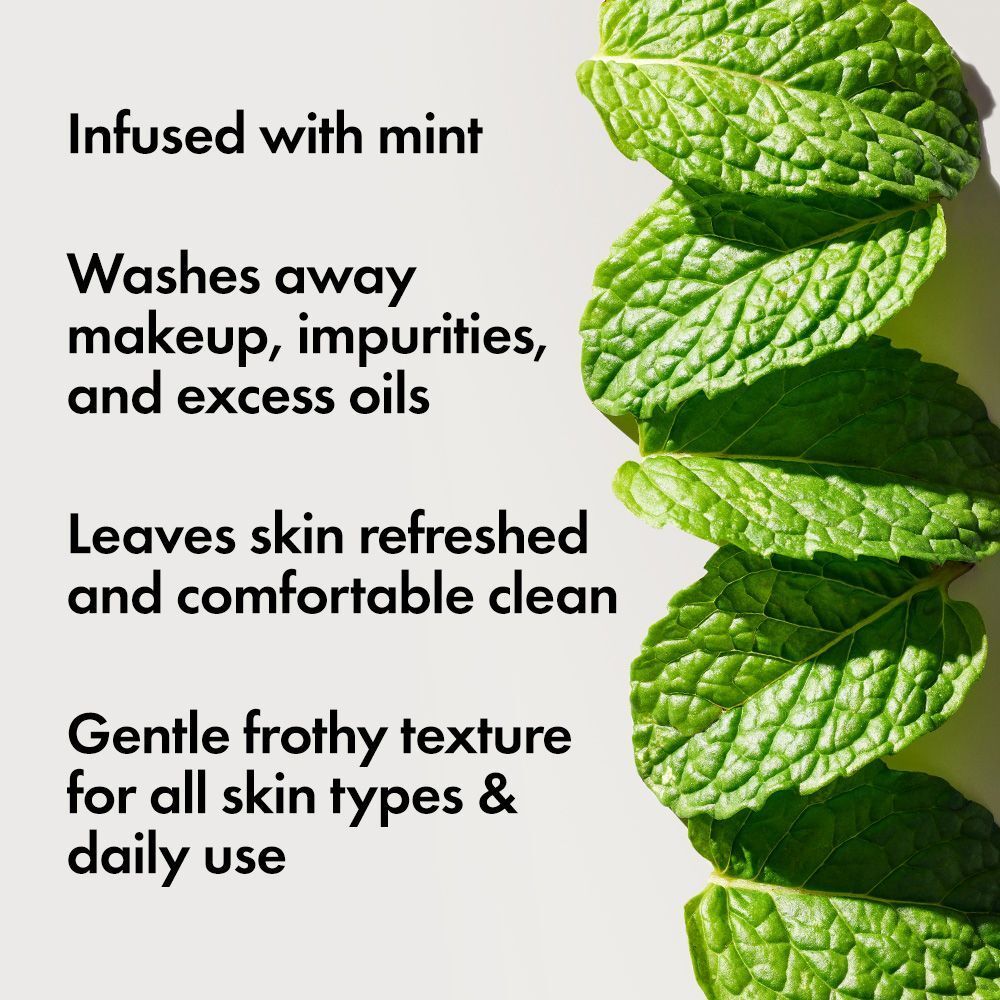 ORIGINS Checks and Balances™ Frothy Face Wash  Gesichtsreinigung für jeden Hauttyp