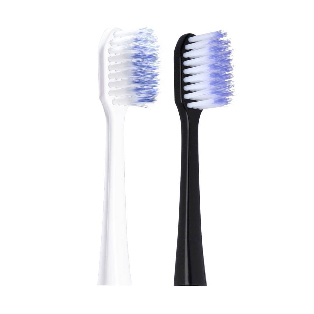 GUM® SONIC DAILY tête de rechange noire