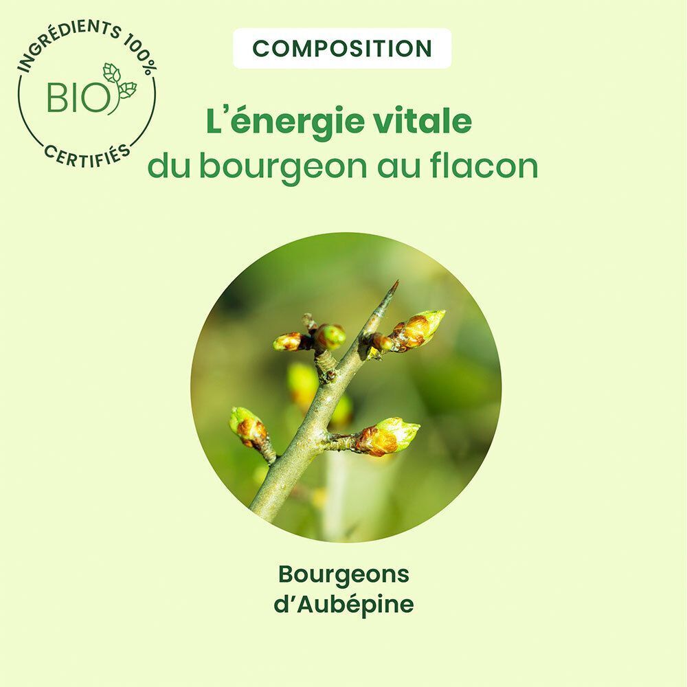 Spray Aubépine Bio HerbalGem et gros plan sur des bourgeons d'aubépine.