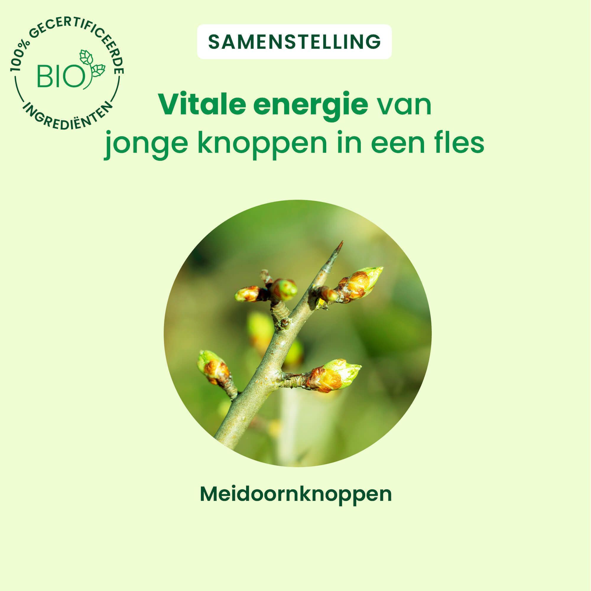 HerbalGem Meidoorn Bio Spray en close-up van meidoornknoppen.