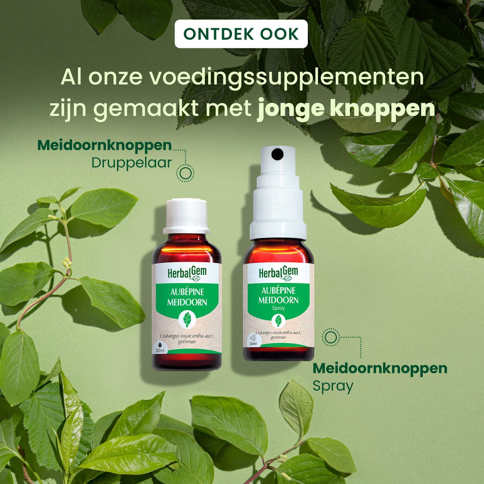 HerbalGem Meidoorn Bio: druppelaar en spray.