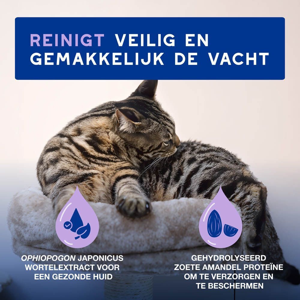 Kat op krabpaal met druppelsymbolen voor huidverzorging en amandelproteïne.