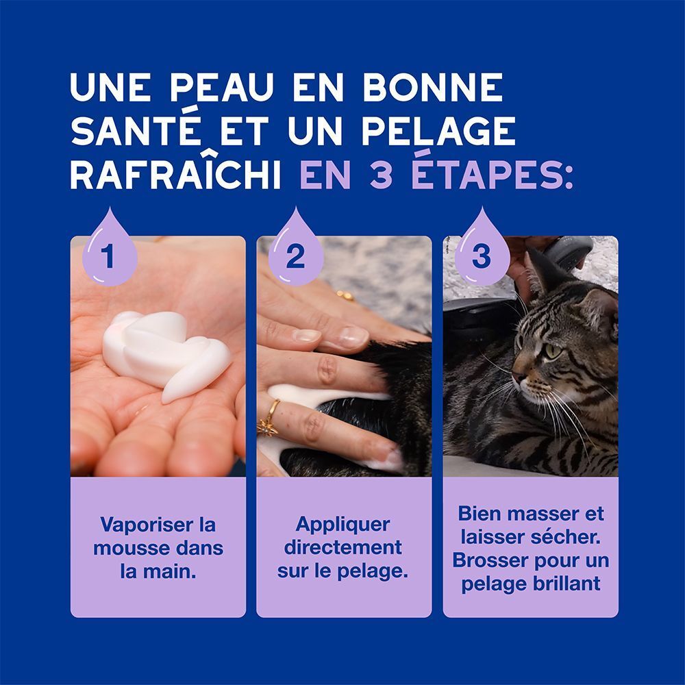 Trois étapes pour le soin du pelage : mousse dans la main, application sur le pelage, brossage.