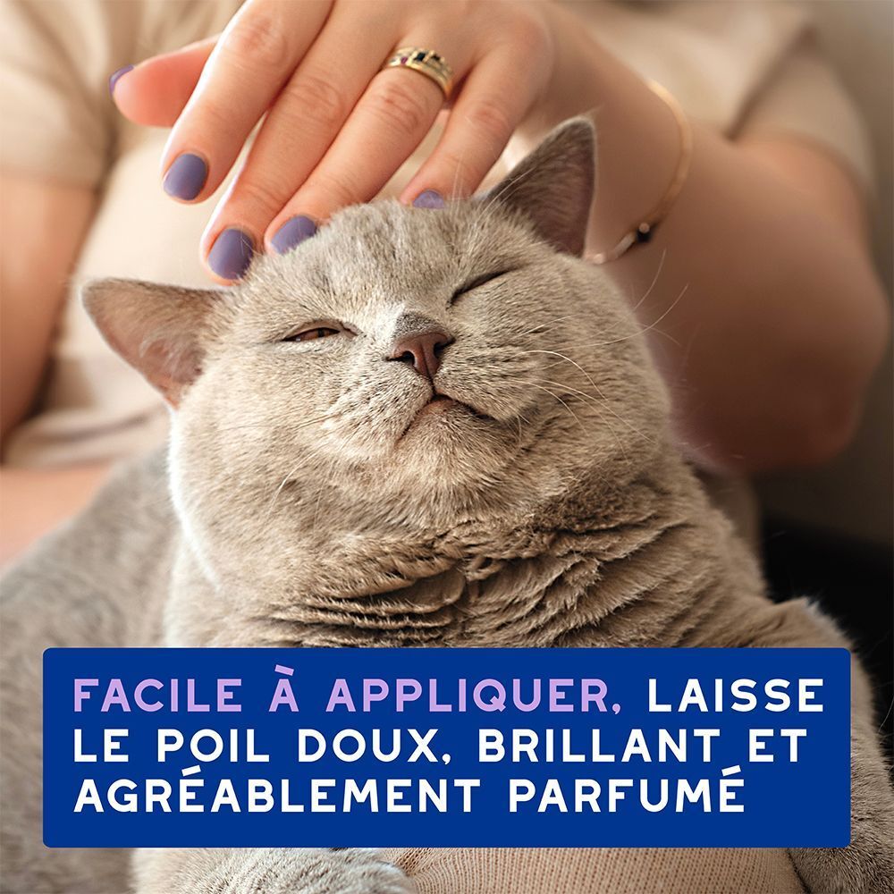 Chat caressé par une main, avec un texte sur un pelage doux et brillant.
