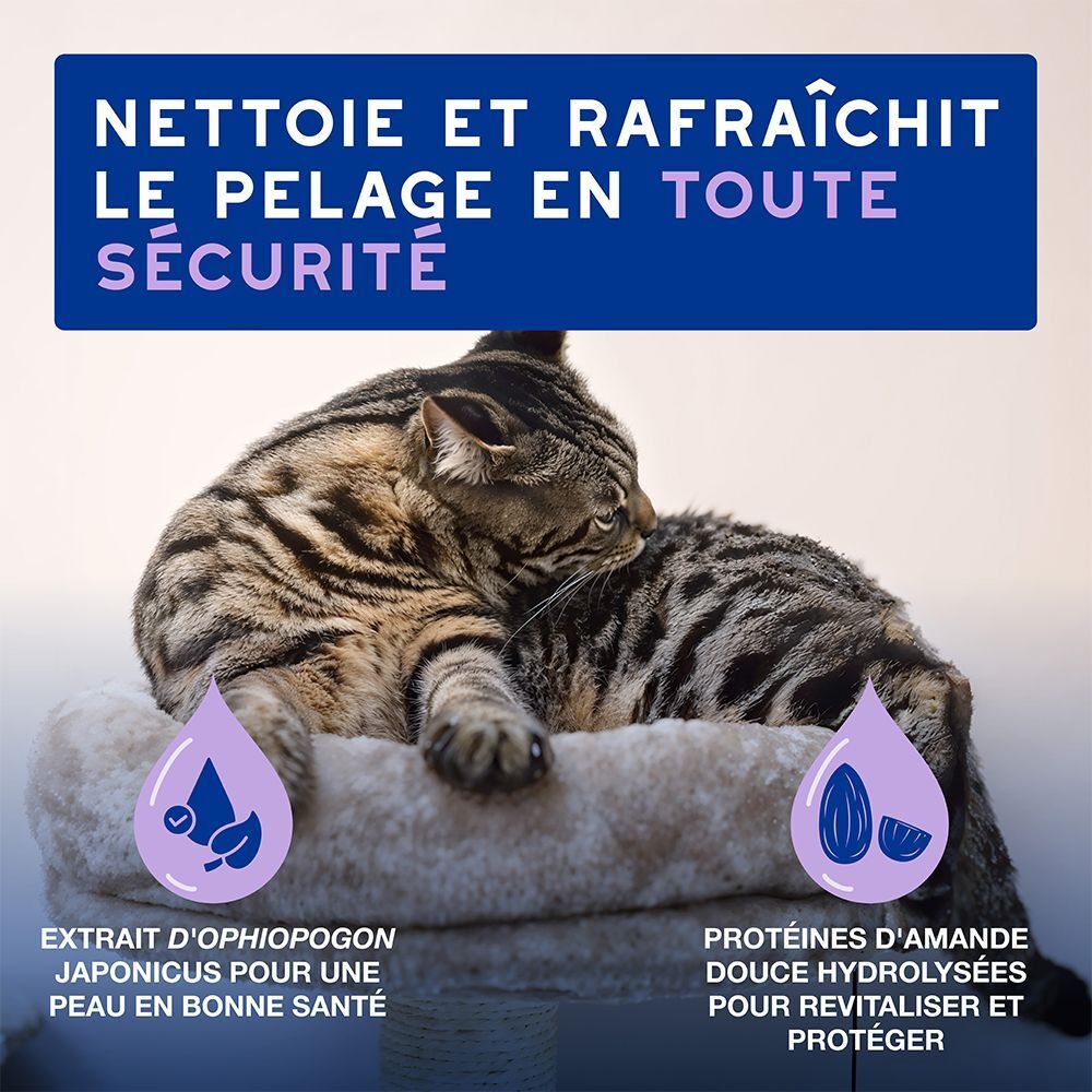 Un chaton allongé sur un arbre à chat. Gauche : Extrait d'Ophiopogon japonicus pour une peau saine. Droite : Protéines d'amande pour revitaliser.