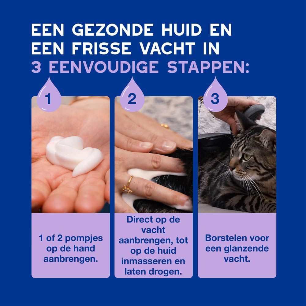 Drie stappen voor vachtverzorging: schuim, inmasseren, borstelen.