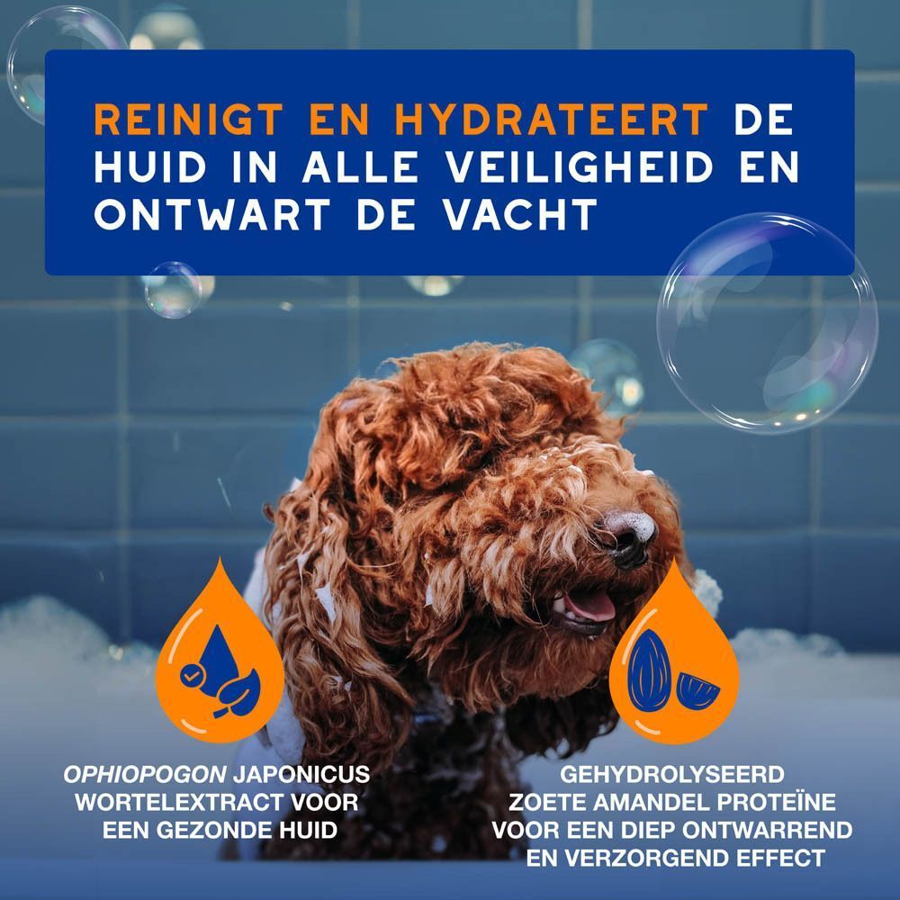 Twee flessen DOUXO Skin & Coat Spa, 250 ml, met pompdosering.