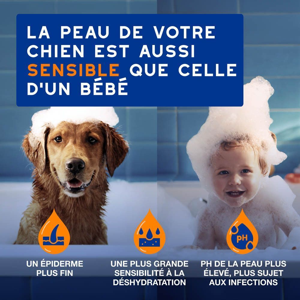 Un Border Collie assis sur les genoux d'une personne, avec du texte sur l'application de DOUXO Skin & Coat Spa.