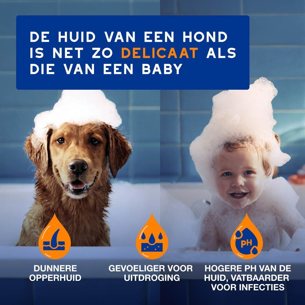 Een blauwe schuimfles met pompdop, gelabeld DOUXO Skin & Coat Spa.