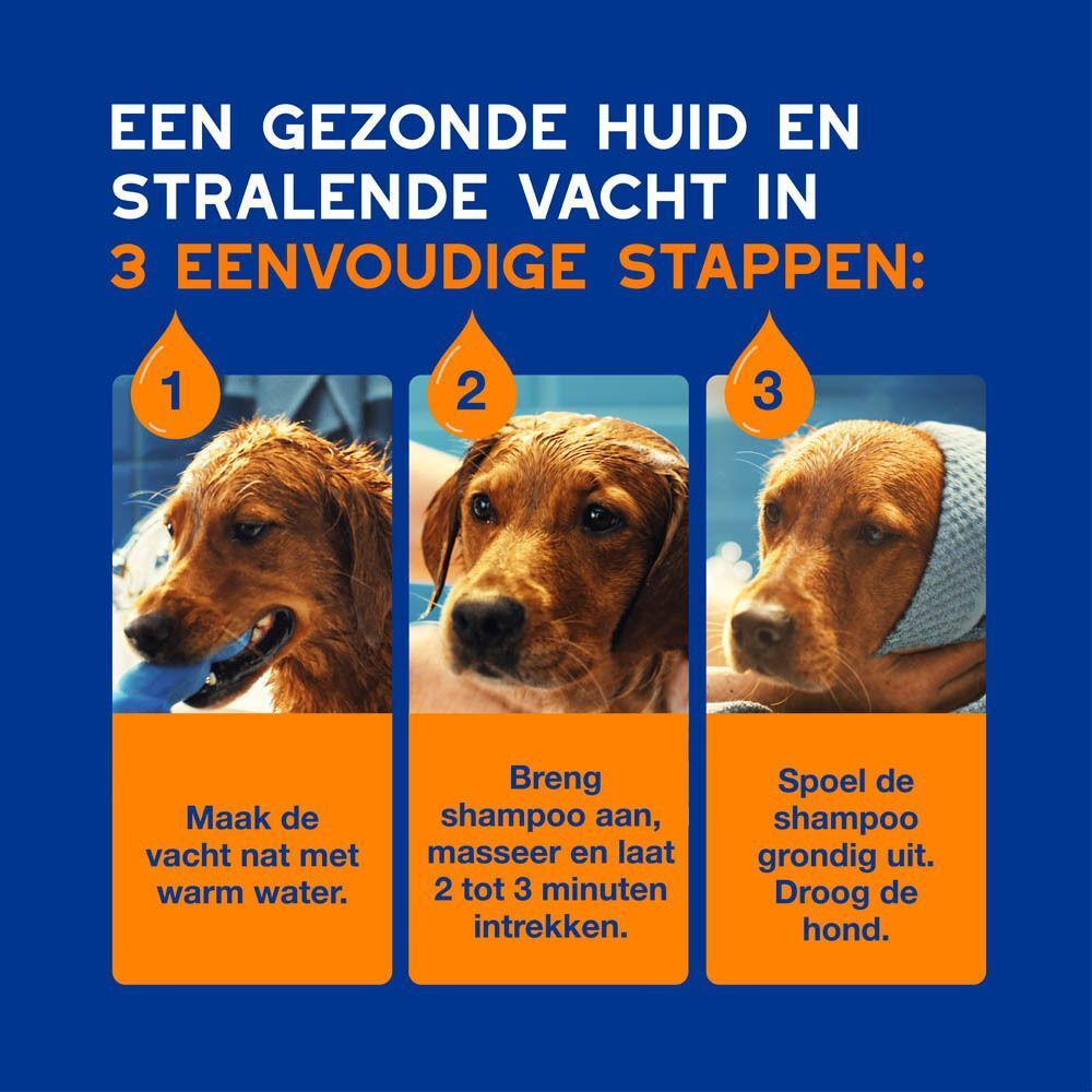 Drie honden in verschillende stadia van vachtverzorging. Stap 1: nat maken, Stap 2: inzepen, Stap 3: uitspoelen en drogen.