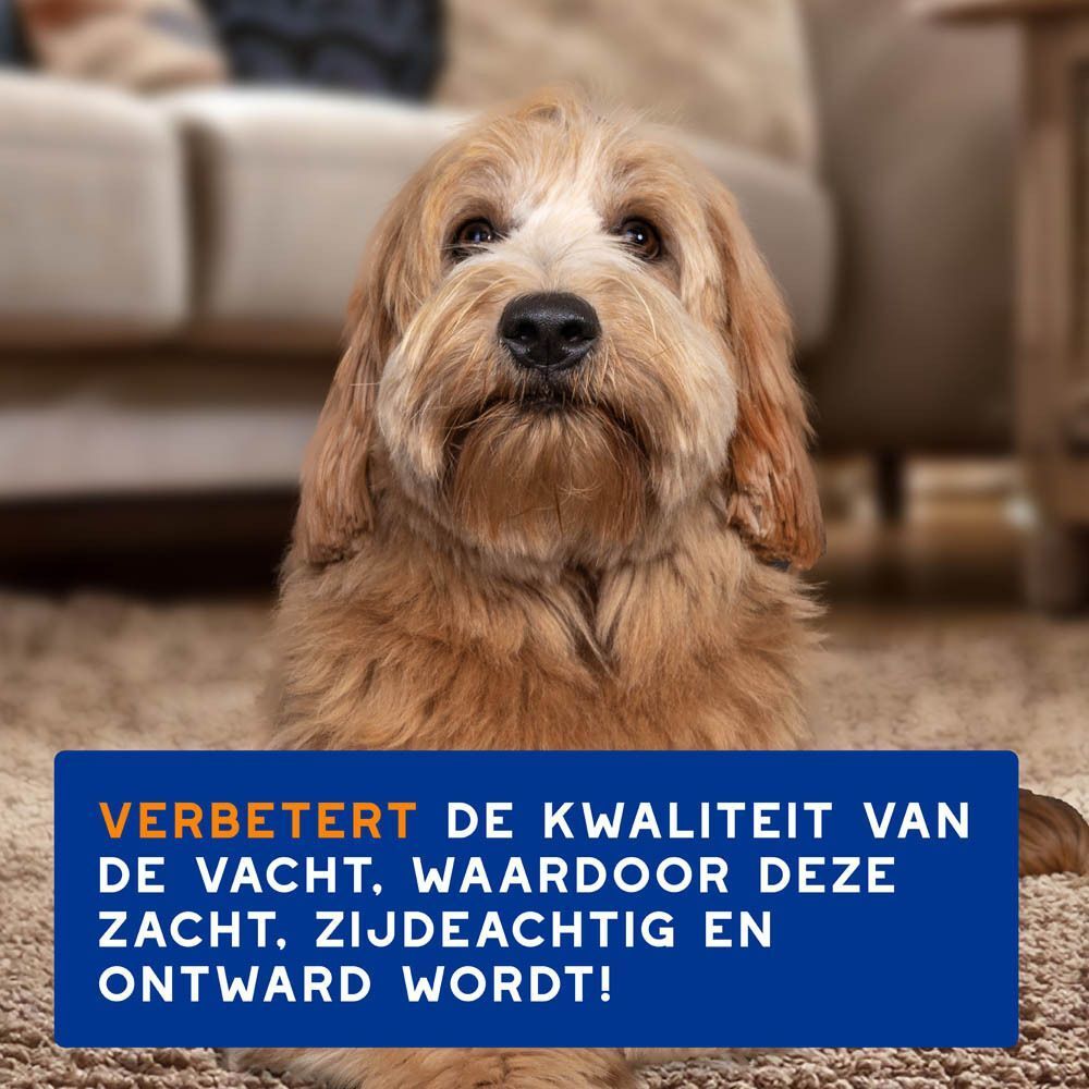 Een hond zit op een tapijt. Tekst: Verbetert de vachtkwaliteit, maakt deze zacht en zijdezacht.
