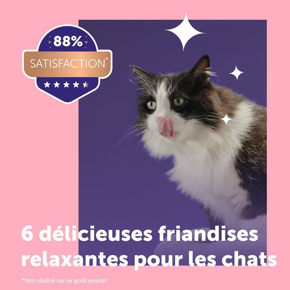 Chat mange dans une gamelle, à côté un stick Feliway Happy Snack.