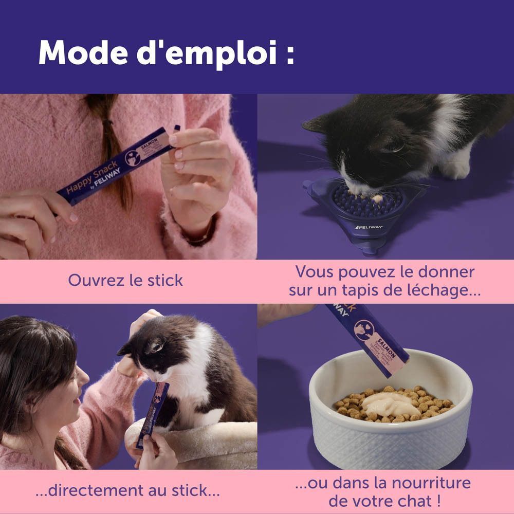 Chat mange dans une gamelle, à côté un stick Feliway Happy Snack.