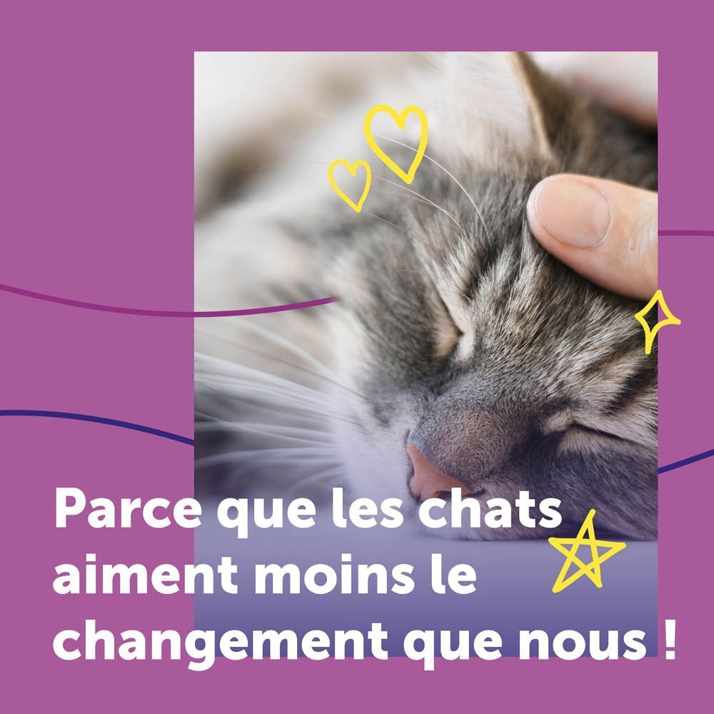 Chat à côté d'une caisse de transport et d'un diffuseur. "Situations stressantes pour votre chat".
