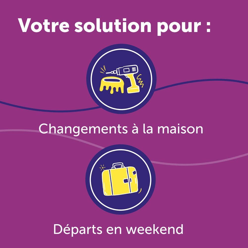 Chat à côté d'une caisse de transport et d'un diffuseur. "Situations stressantes pour votre chat".