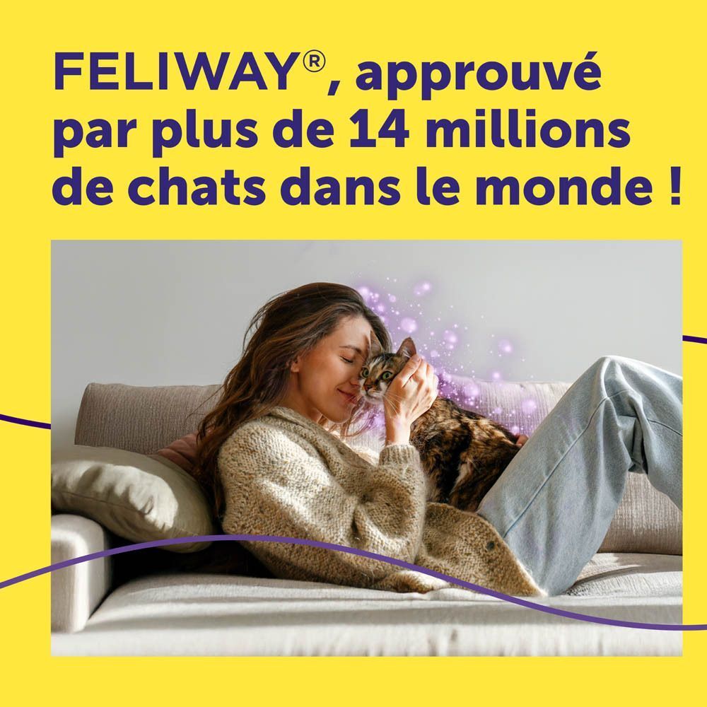 Femme caressant un chat sur un canapé, publicité Feliway.
