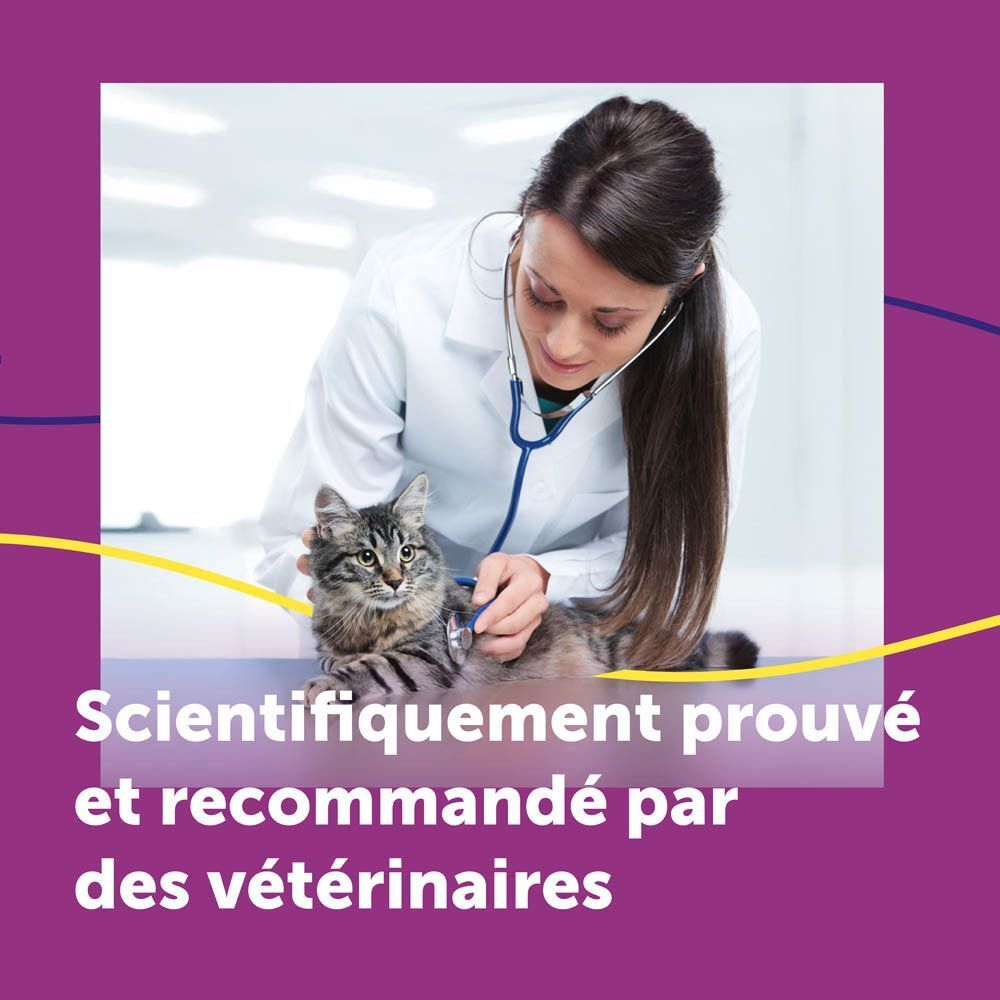 Instructions d'utilisation du diffuseur pour chat.