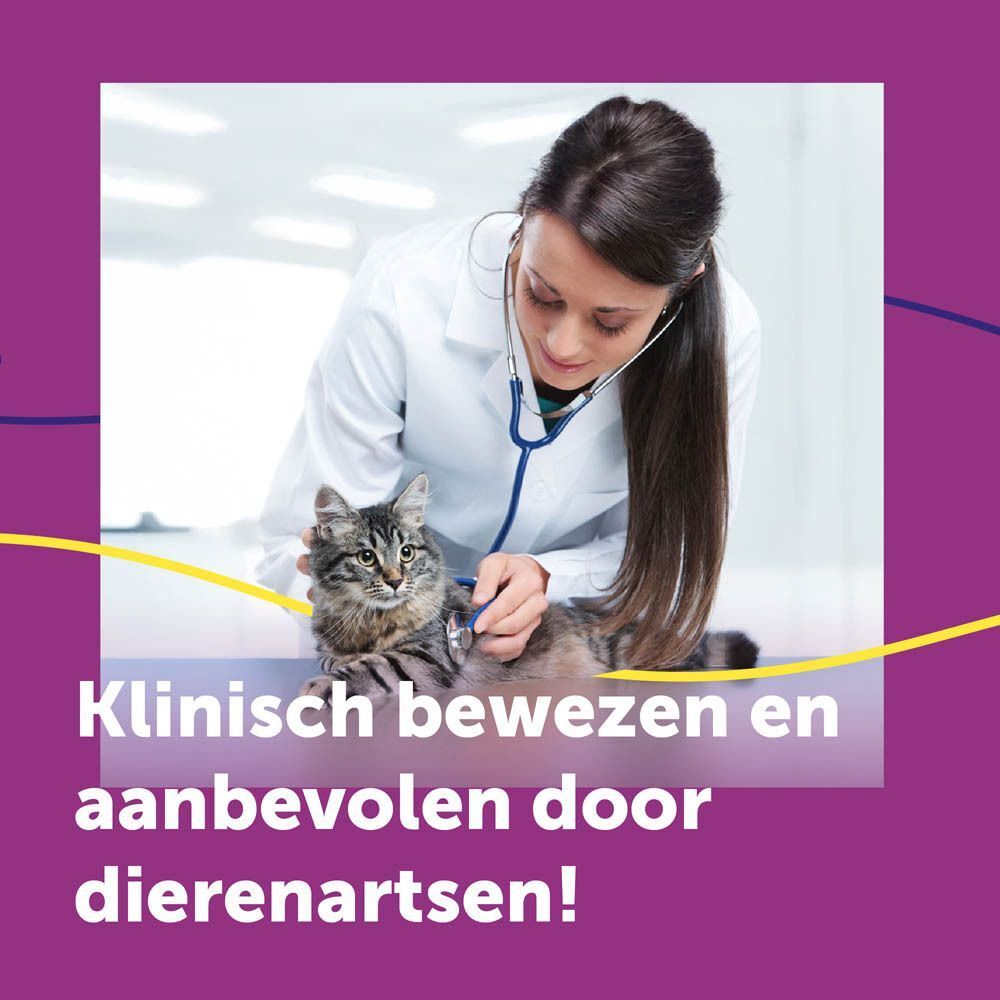 Feliway verdamper en cartridges, verpakking met vrouw en kat.