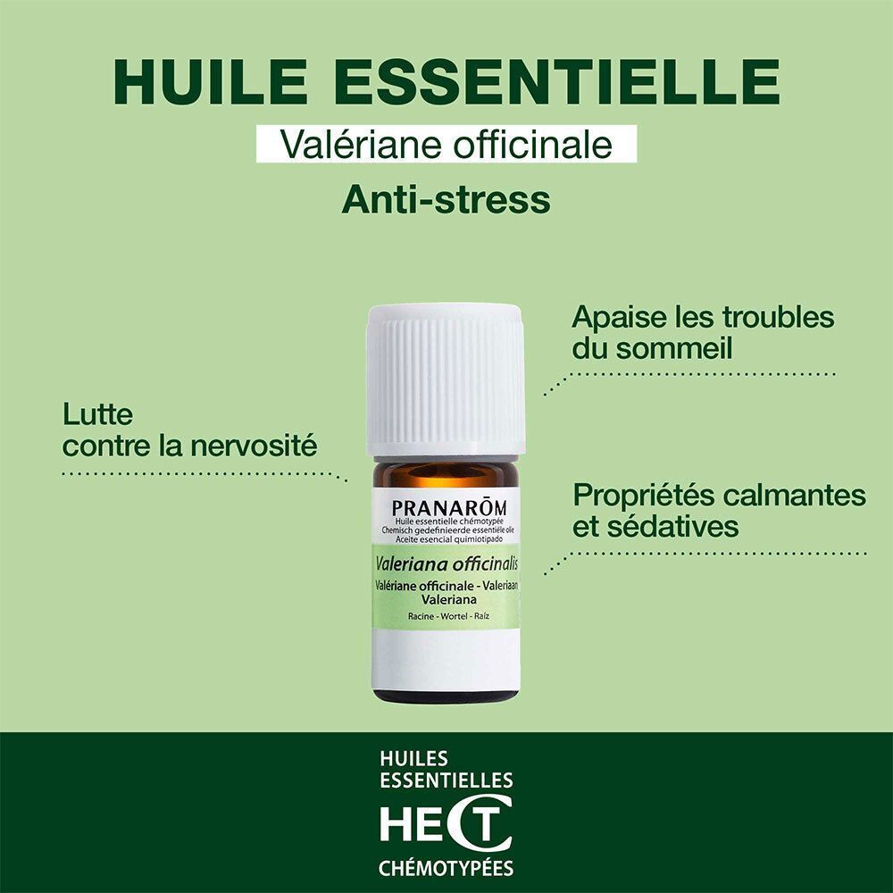 Petite bouteille en verre brun avec bouchon blanc, contenant de l'huile essentielle. L'étiquette indique PRANAROM et Valeriana officinalis.
