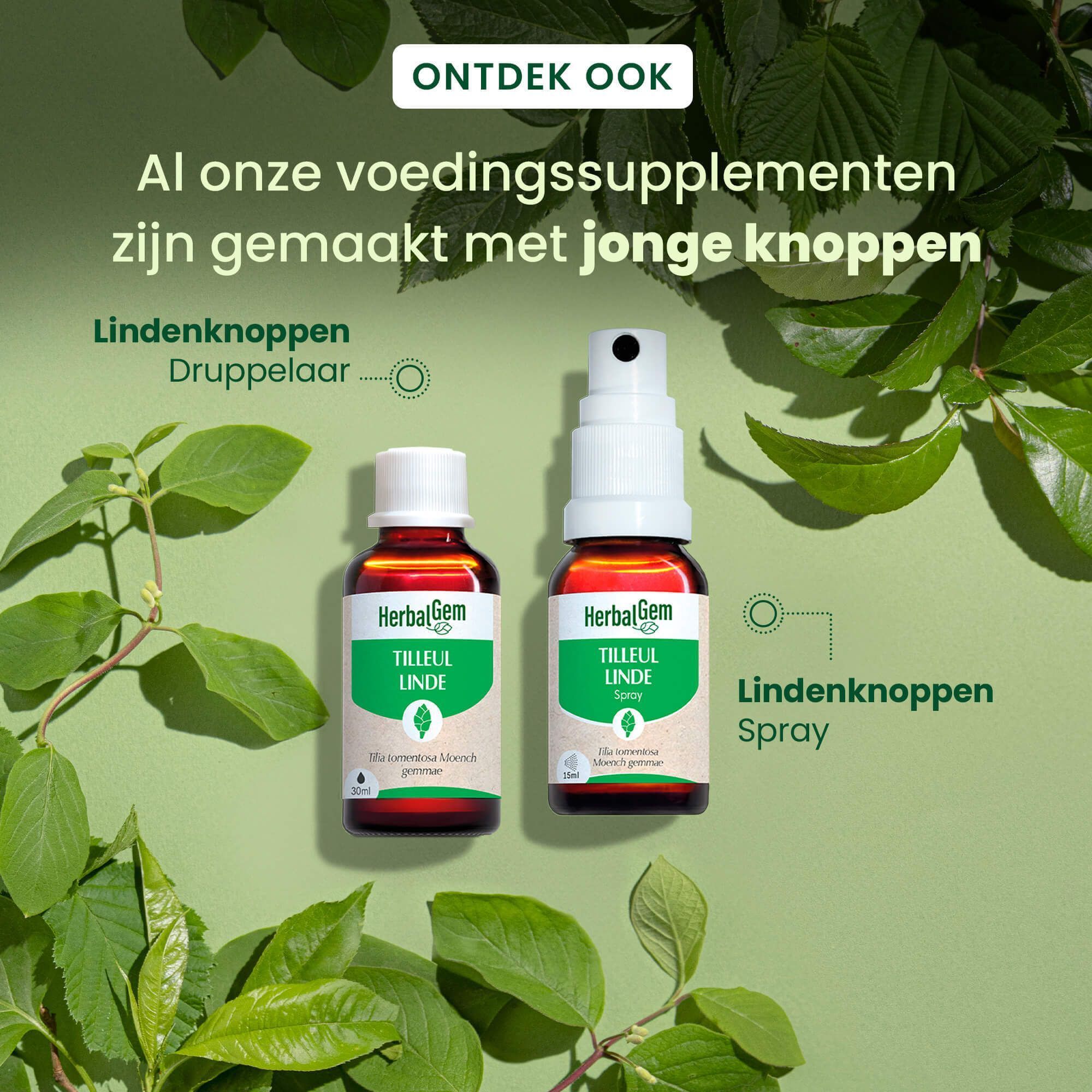 HerbalGem Tilleul Bio Spray en druppelflesje, lindeknoppen.