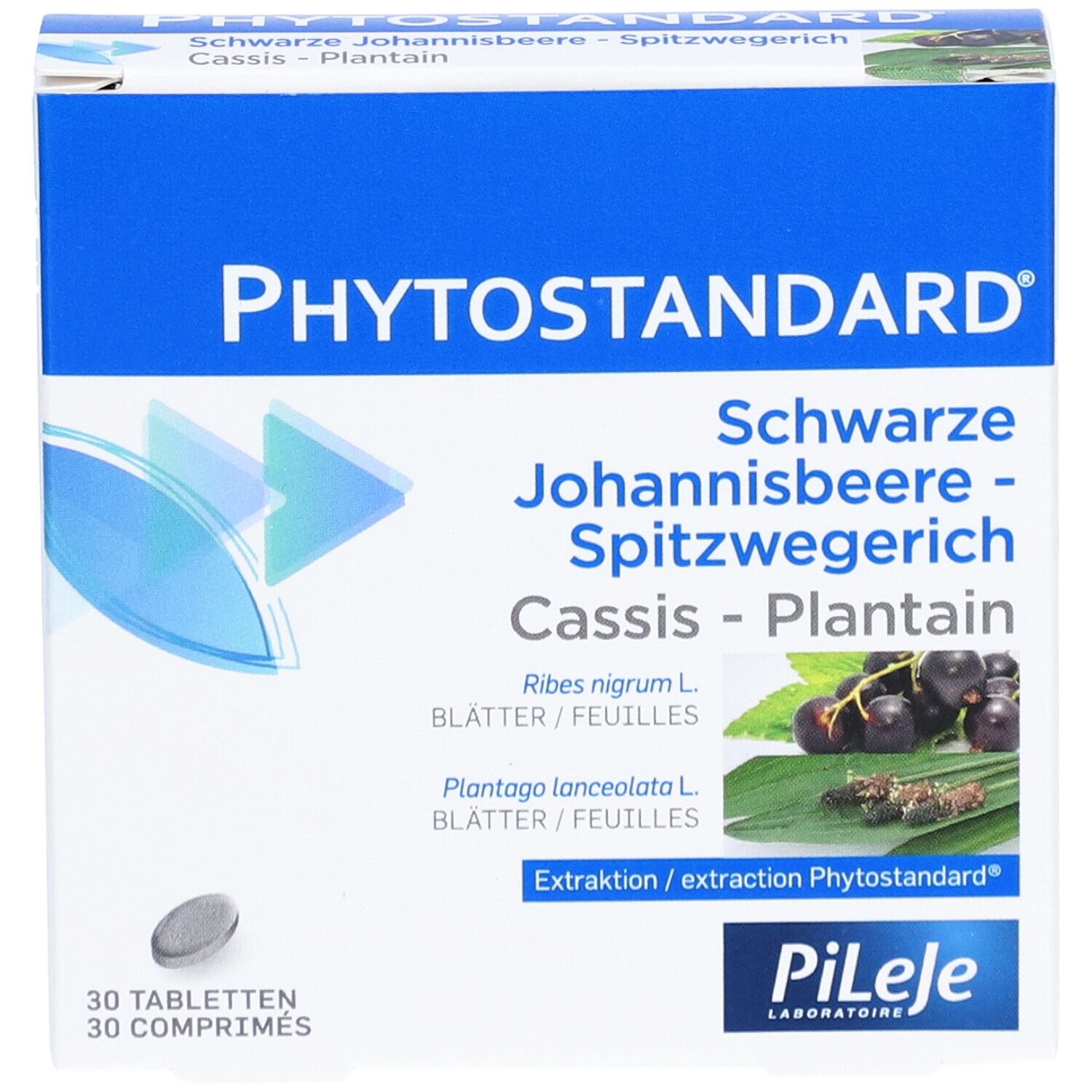 Boîte PHYTOSTANDARD Schwarze Johannisbeere-Spitzwegerich. 30 comprimés. Illustration de fruits et feuilles. Logo PILEJE.