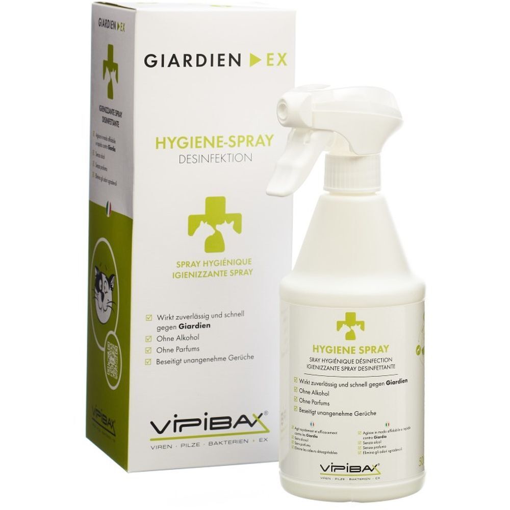 Flacon pulvérisateur blanc et boîte. Inscriptions: GIARDIEN EX, HYGIENE-SPRAY, VIPIBAX. Contient des informations sur la désinfection.