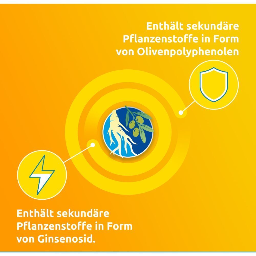 Grafik mit Symbolen. Enthält sekundäre Pflanzenstoffe in Form von Olivenpolyphenolen und Ginsenosid. Gelber Hintergrund.