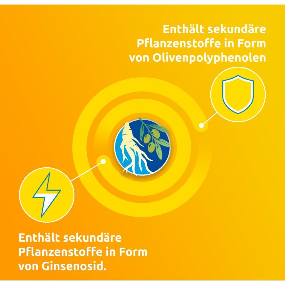 Grafische Darstellung von Ginseng und Oliven. Enthält sekundäre Pflanzenstoffe in Form von Olivenpolyphenolen.