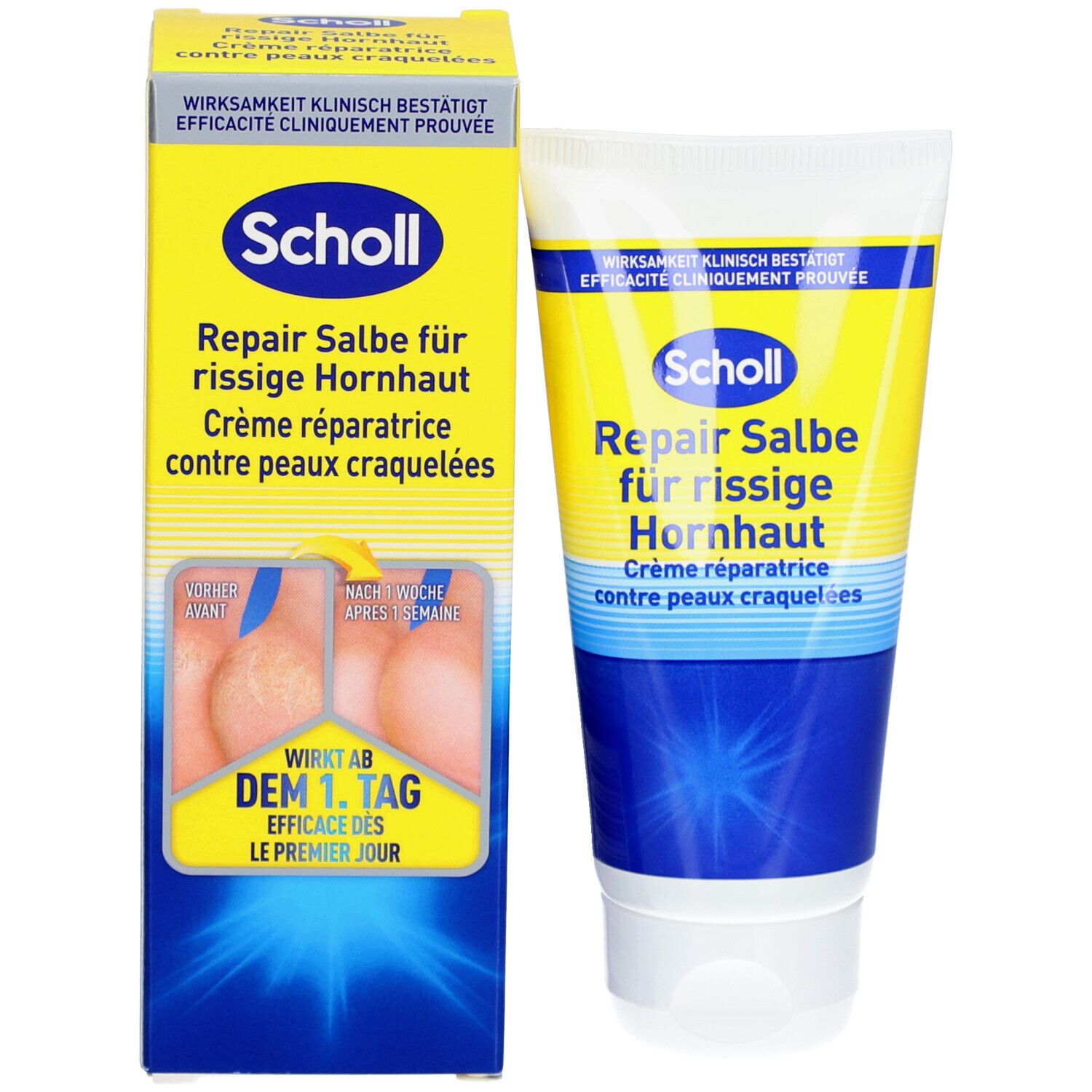 Produktverpackung mit Tube und Karton. Tube und Karton zeigen das gleiche Design und Produktinformationen.