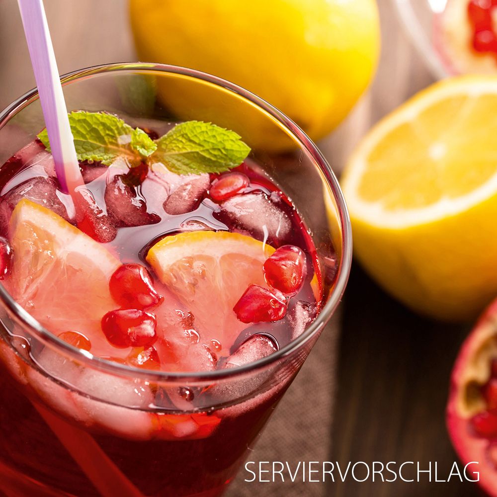 Glas mit Getränk, Eiswürfeln, Zitrone, Minze und Granatapfelkernen. Servierbeispiel.