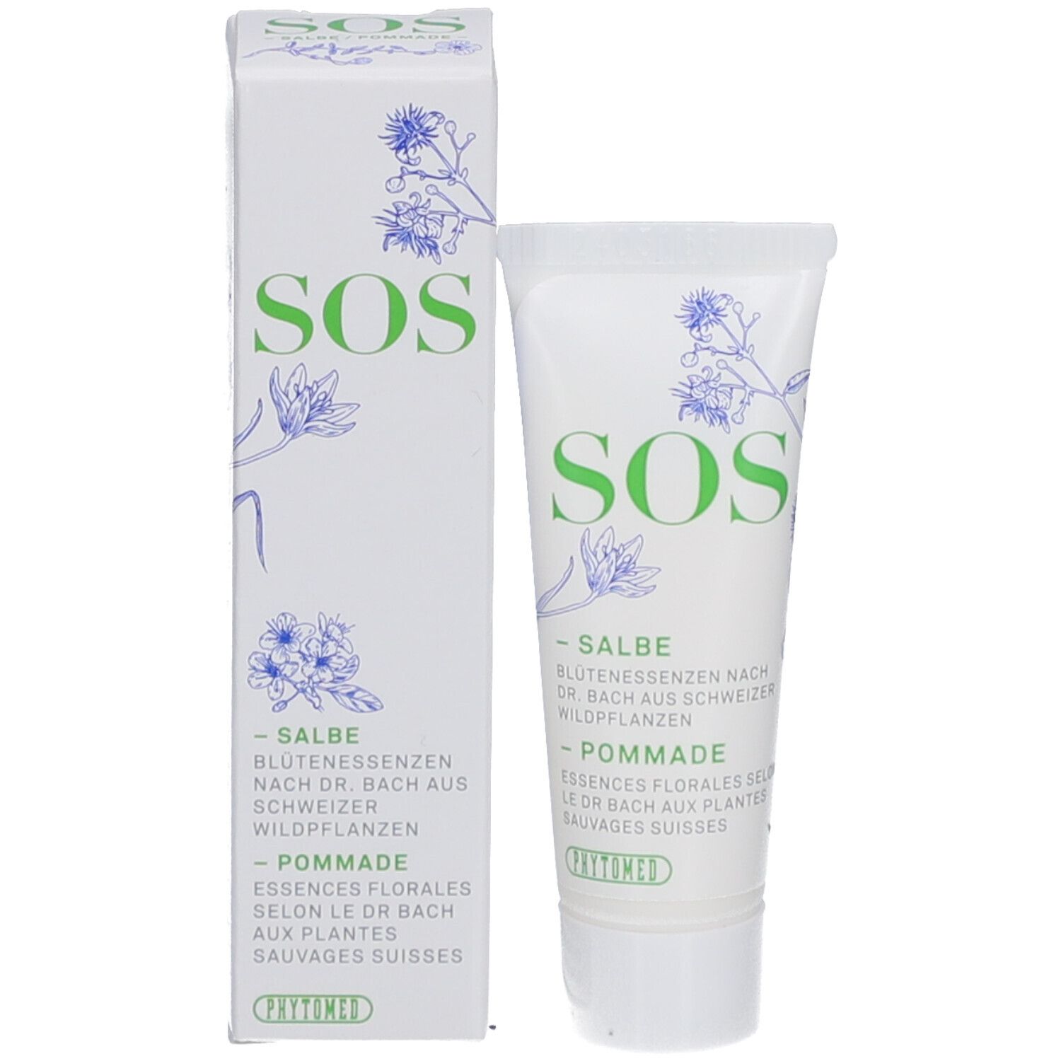 Produktverpackung mit Tube und Karton. Tube und Karton mit grünem und blauem Aufdruck.