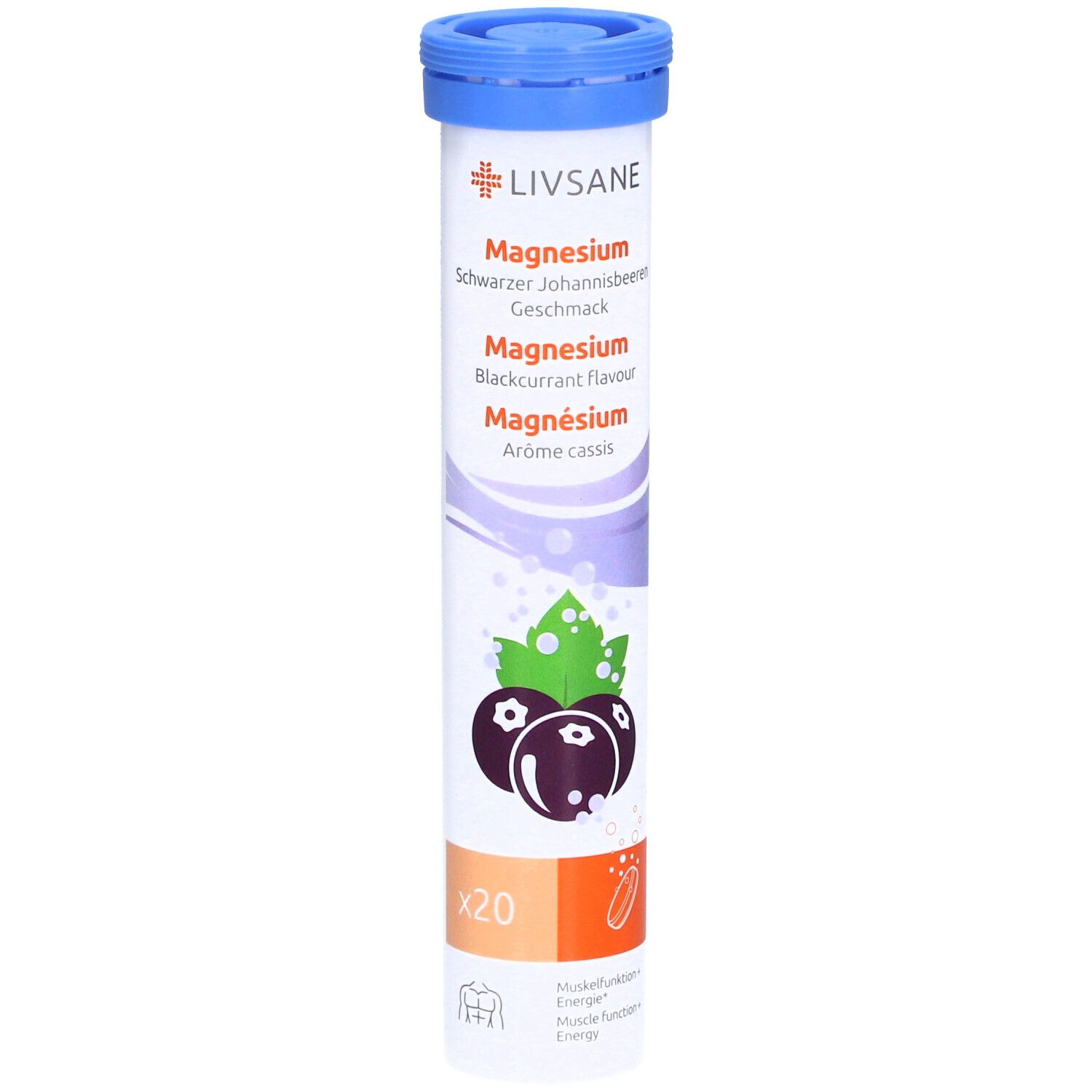 Livsane Magnesium Schwarzer Johannisbeeren 20 Stk St Compretten