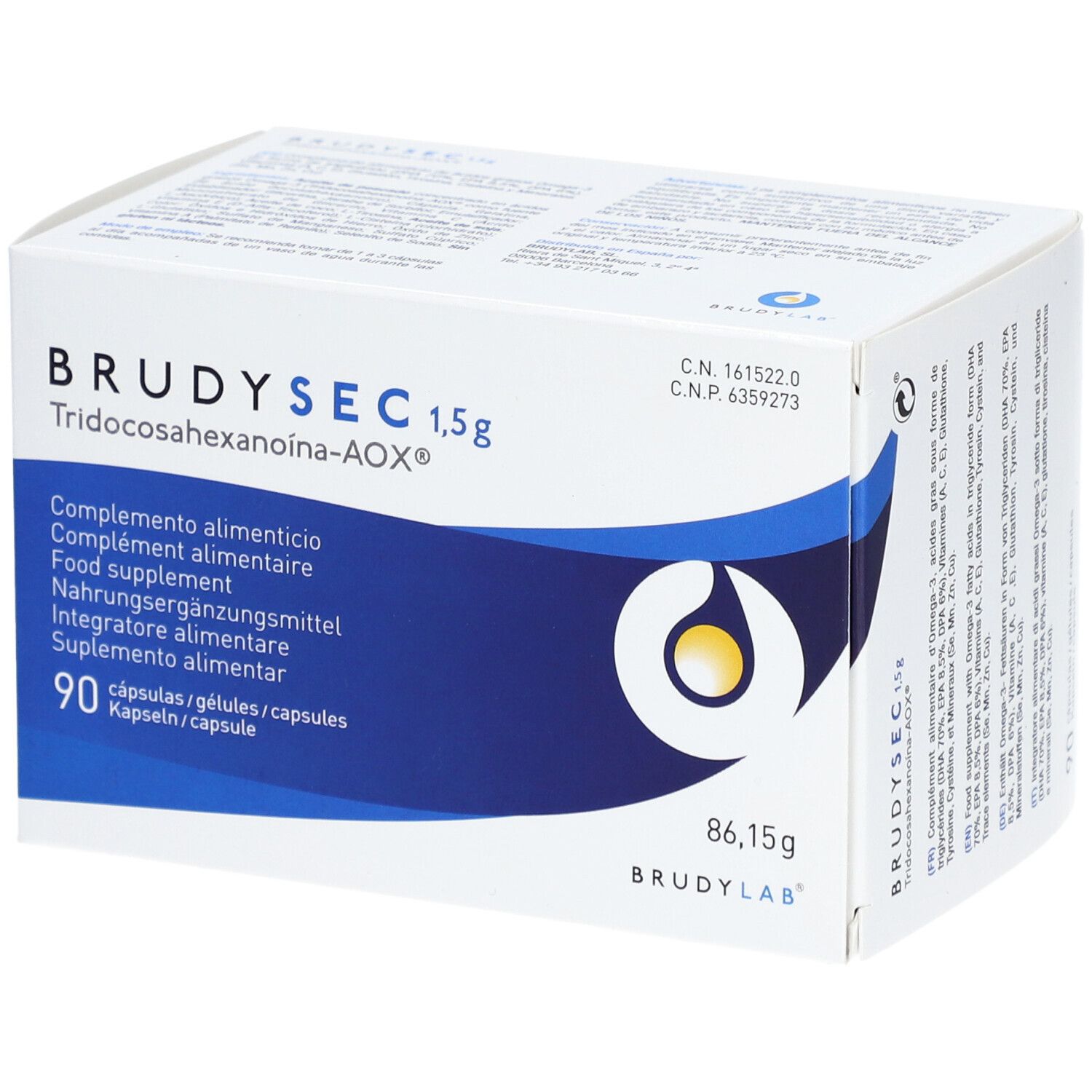 Brudysec