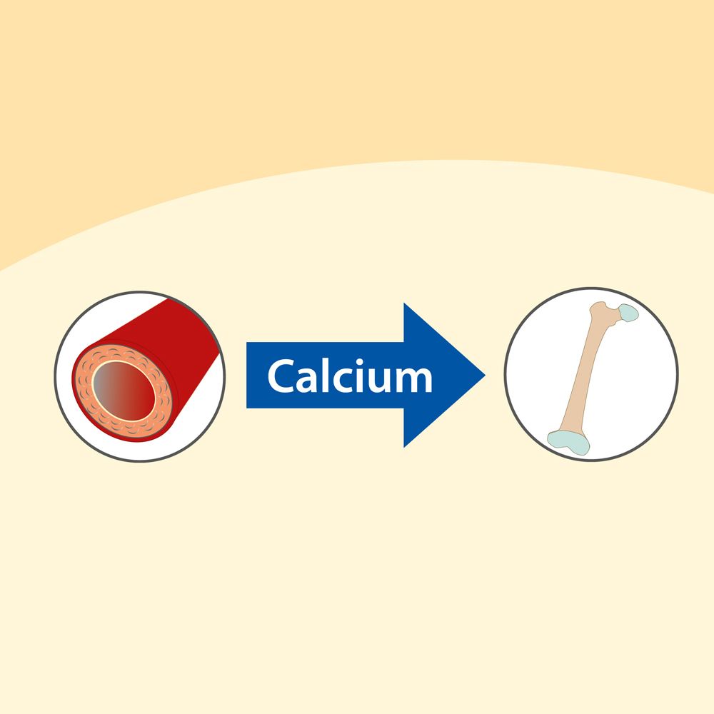 Grafik mit Pfeil. Darstellung des Calcium-Transports von Blutgefäßen zu Knochen.