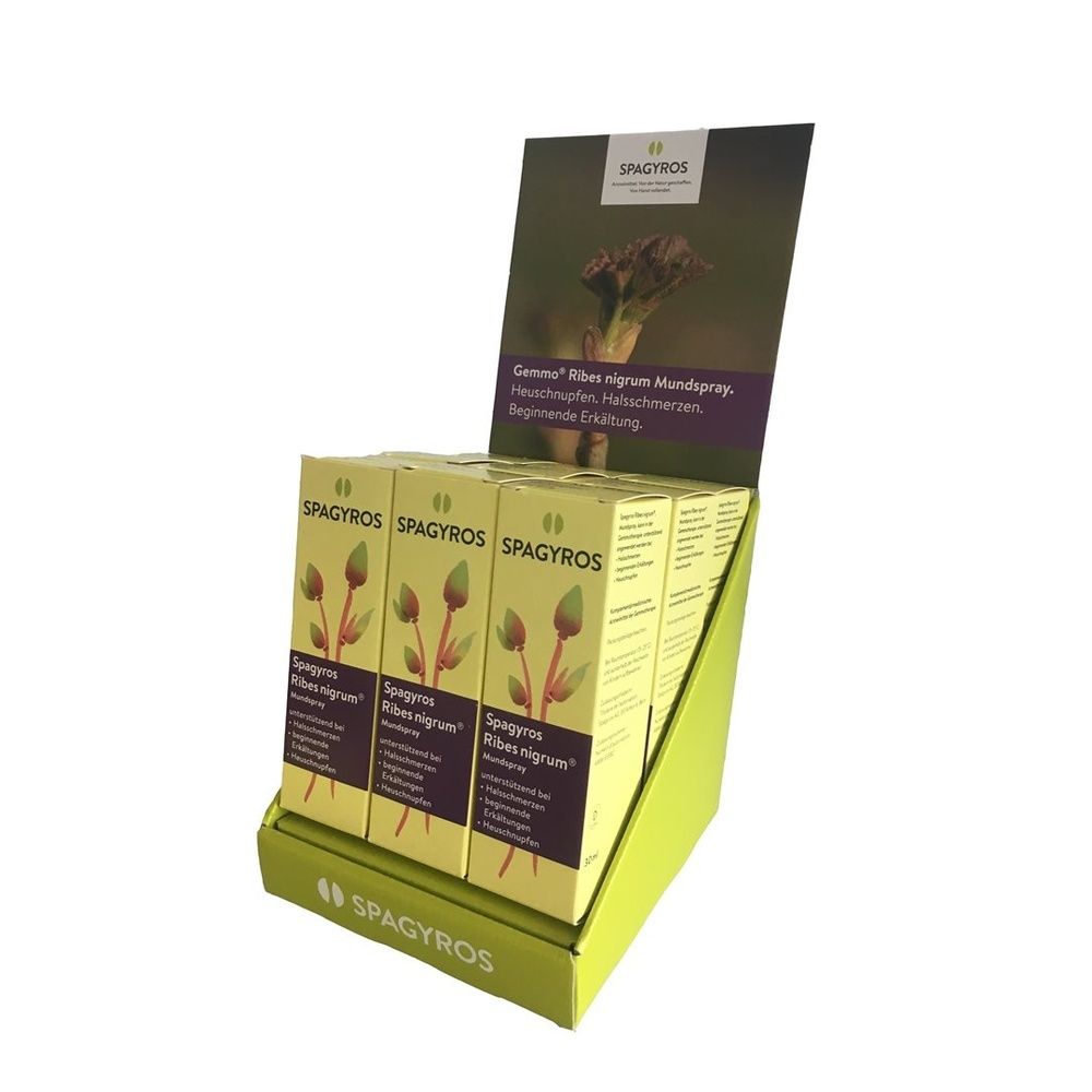 Display mit SPAGYROS Ribes nigrum Mundspray-Boxen. Karton mit Produktlogo und floraler Abbildung. Aufsteller in Grün.