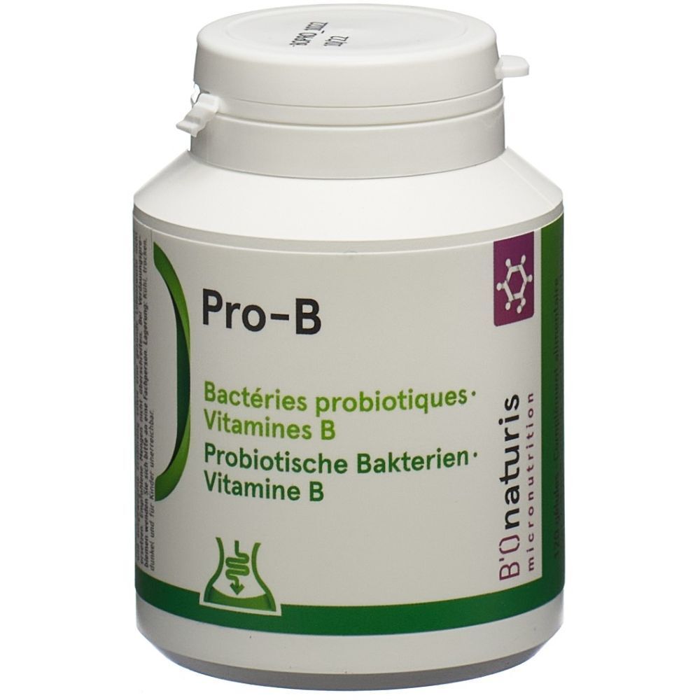 Weiße Flasche mit grünem Etikett. Aufschrift: Pro-B, Bakterien, Vitamine B. Logo: B'onaturis.
