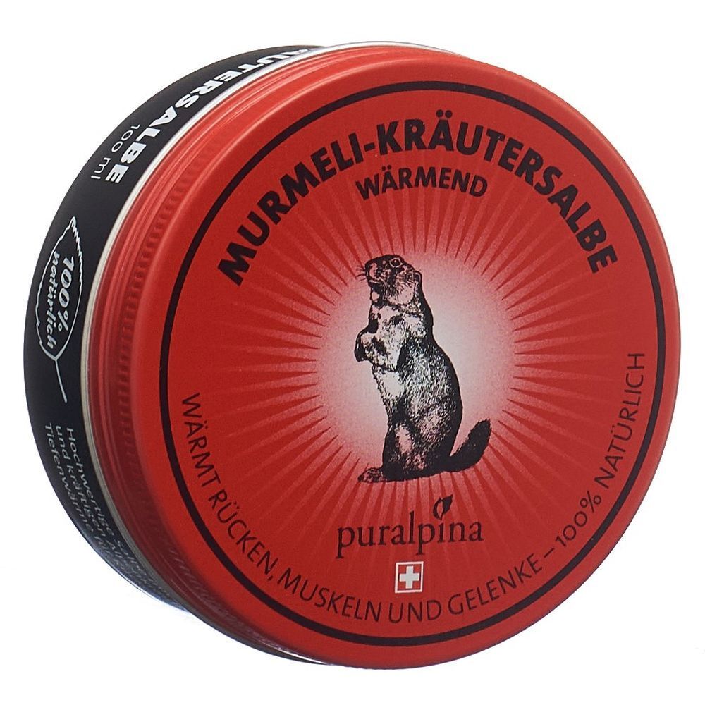 Runde, rote Dose mit Aufschrift MURMELI-KRÄUTERSALBE. Ein Murmeltier-Illustration und Logo.