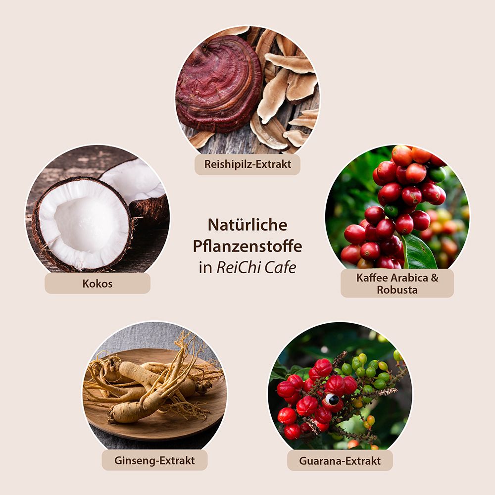 Reishi-Pilz, Kokos, Kaffee Arabica & Robusta, Ginseng-Extrakt, Guarana-Extrakt. Natürliche Pflanzenstoffe.