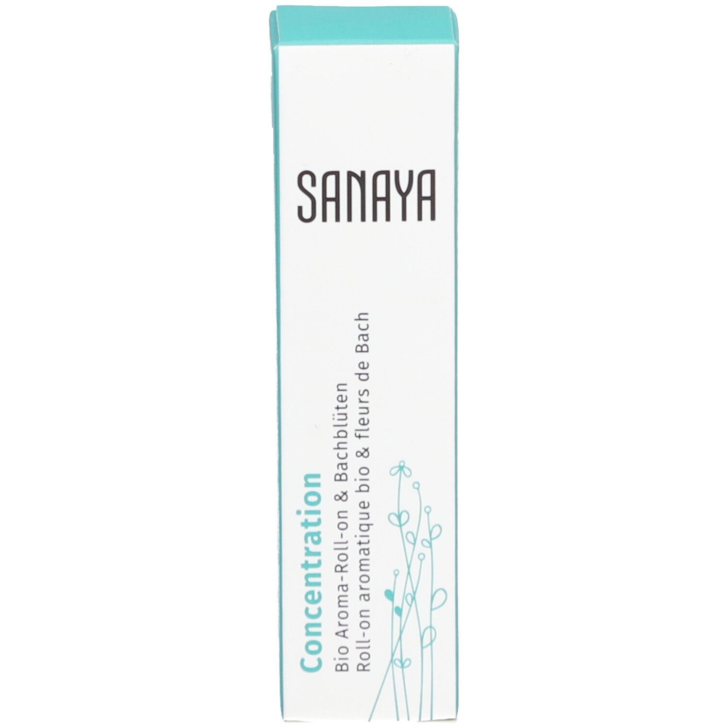 Schachtel mit Aufschrift SANAYA und „Concentration“. Grün-weiße Verpackung.