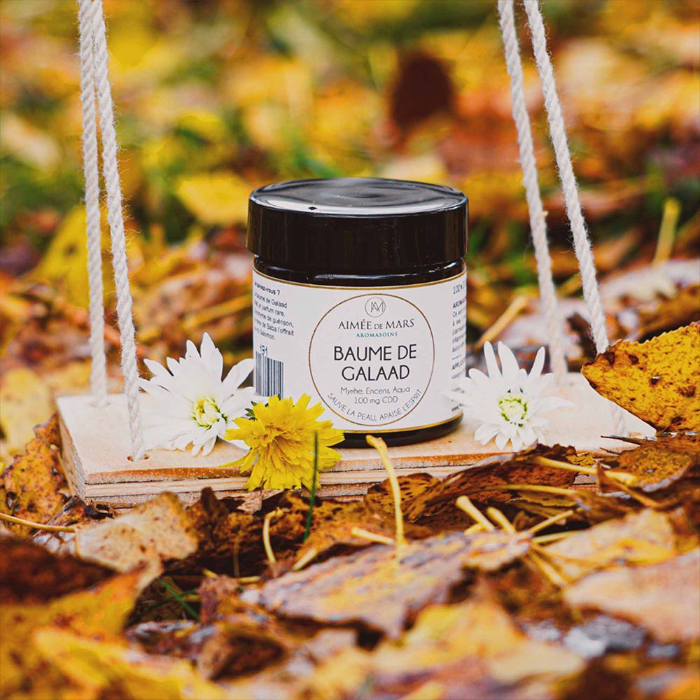 Dose auf einer kleinen Holzschaukel, umgeben von Herbstlaub und Blumen. Auf dem Etikett steht: Baume de Galaad.