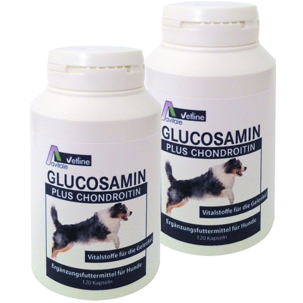 Avitale vetline Glucosamin + Chondroitin
