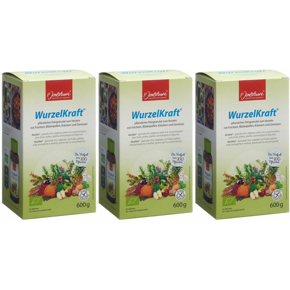 Trois boîtes "WurzelKraft". Inscriptions : Jentschura, label bio, 600g. Illustrations de plantes et fruits.