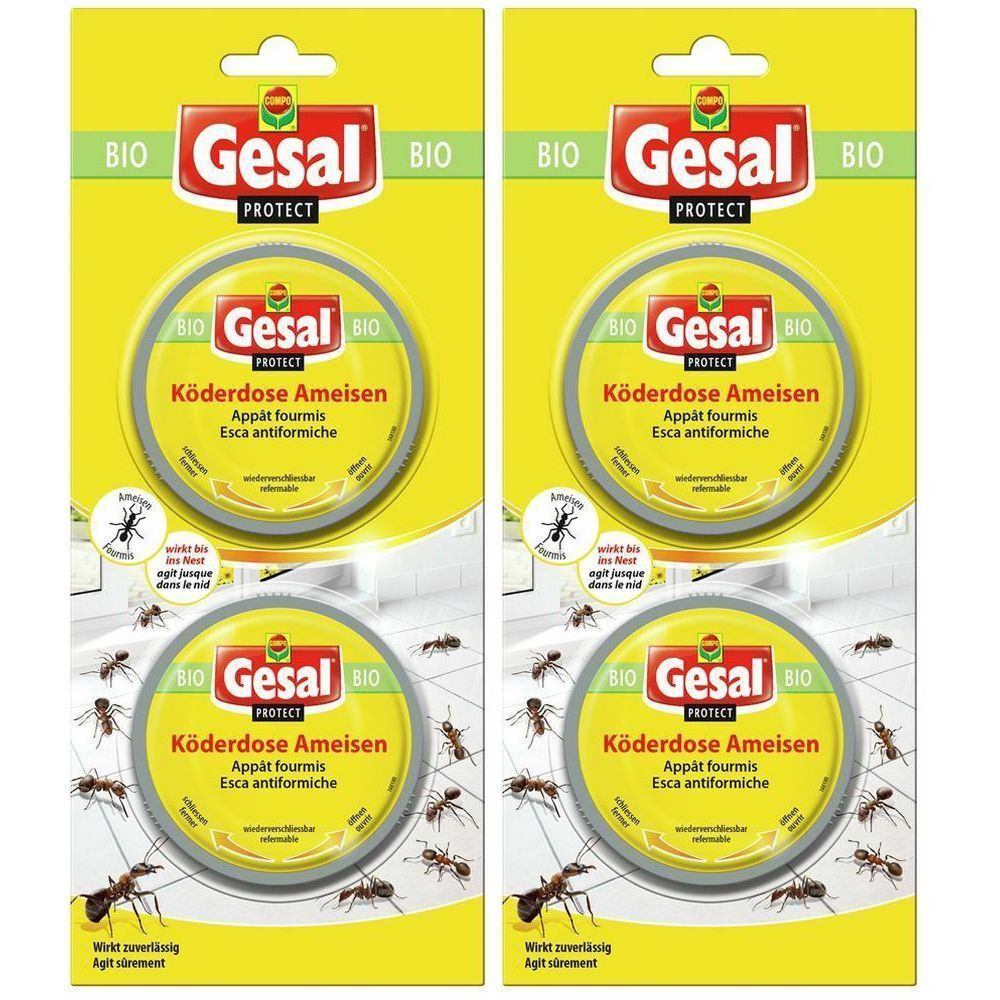Zwei Packungen Ameisenköder. Gelbe Verpackung mit rundem Köder. Marke Gesal Protect. Text: Köderdose Ameisen, Appât fourmis, Esca antiformiche.