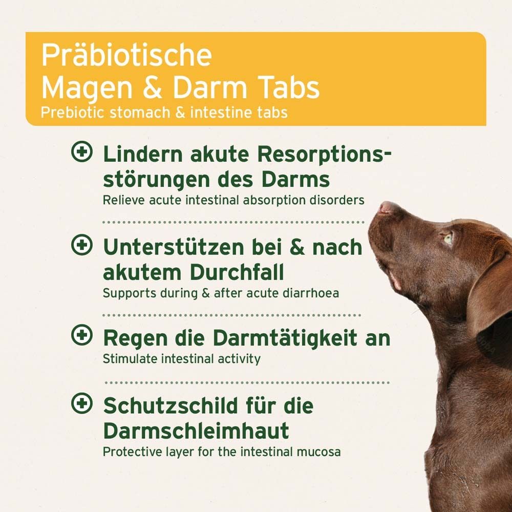 Brauner Hund. Text: Präbiotische Magen & Darm Tabs. Lindern akute Resorptionsstörungen des Darms. Unterstützen bei Durchfall.