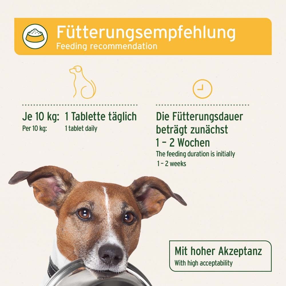 Hund mit Napf. Text: Fütterungsempfehlung. Je 10 kg: 1 Tablette täglich. Fütterungsdauer: 1-2 Wochen. Mit hoher Akzeptanz.