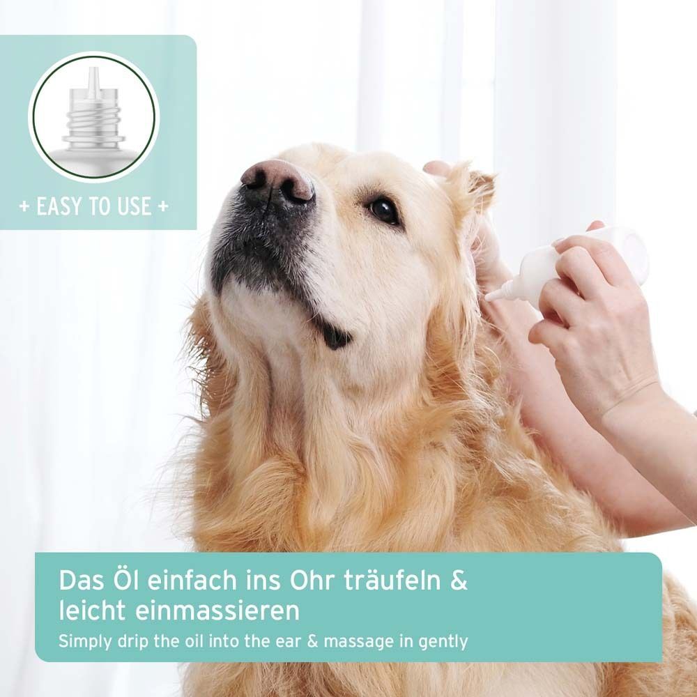 Hund, Ohr-Milbenöl-Flasche. Text: Das Öl einfach ins Ohr träufeln & leicht einmassieren.
